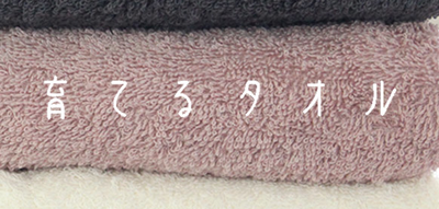 育てるタオルpng